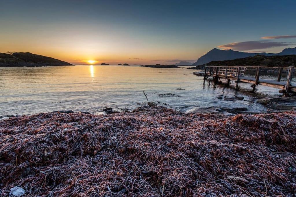 Lofoten - New Apartment, Close To Airport. Leknes Εξωτερικό φωτογραφία