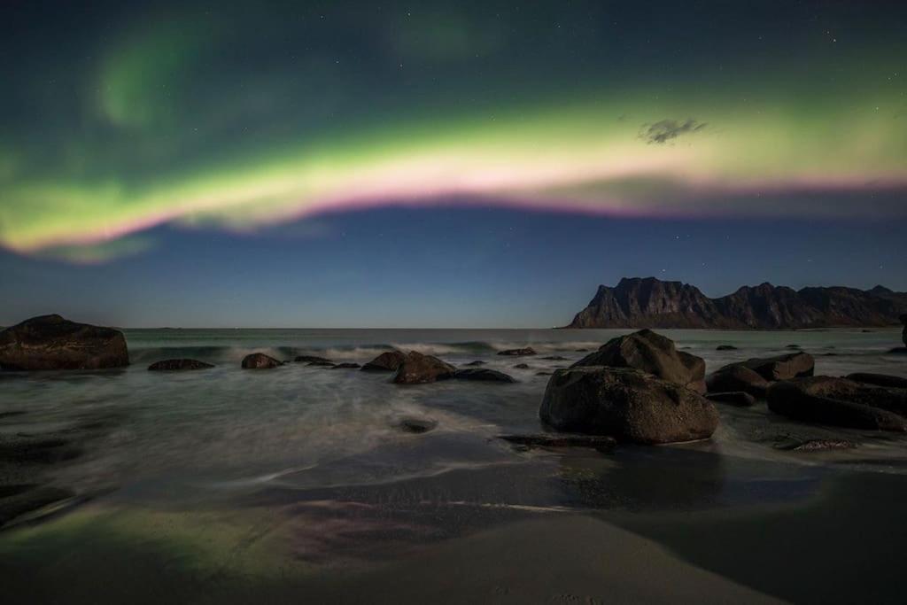 Lofoten - New Apartment, Close To Airport. Leknes Εξωτερικό φωτογραφία